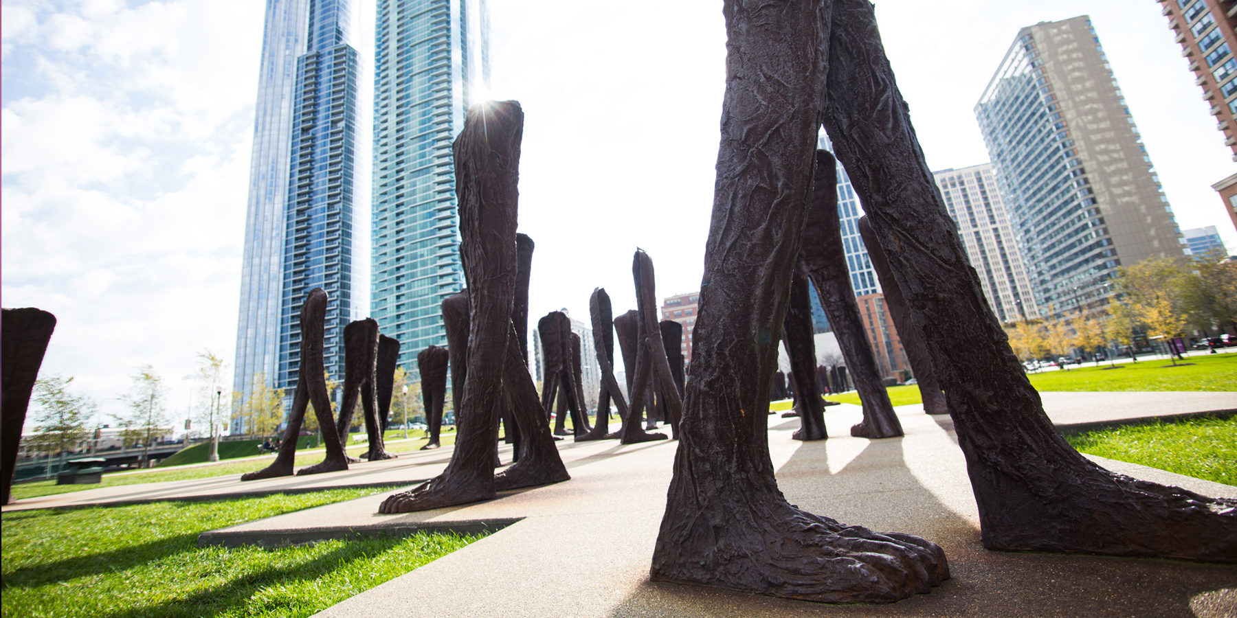 Cook County Appraisals Services